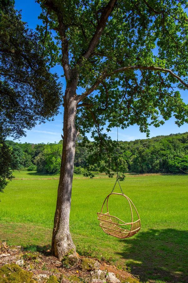 Vibe Luxury Cabins Arnuero Εξωτερικό φωτογραφία