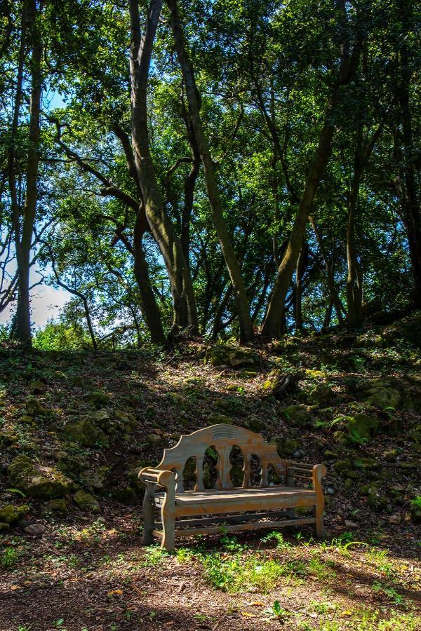 Vibe Luxury Cabins Arnuero Εξωτερικό φωτογραφία
