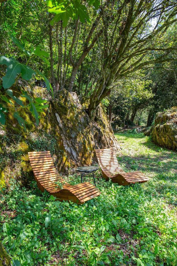 Vibe Luxury Cabins Arnuero Εξωτερικό φωτογραφία